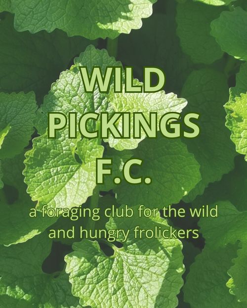 Searching for Green - St Patrick's day Forage