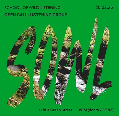 School of Wild Listening - Open Call Listening Group