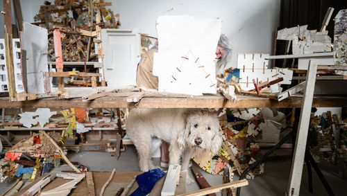 Soft Spot — Helen O'Leary. Photo by Paul Takeuchi.