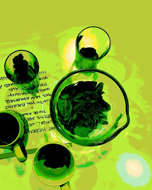 Entanglement and Mint Tea Gathering