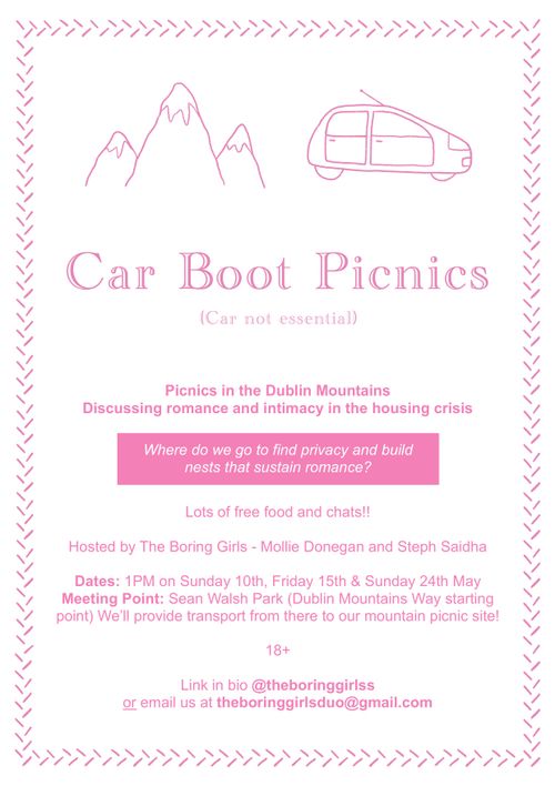 Car Boot Picnics