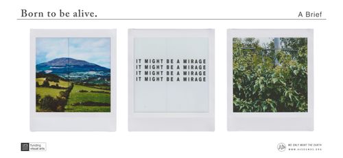 Open Call: Born to be alive. Group Exhibition, WOWTE 2026